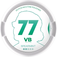 77 VB Spearmint Salty 5,2 mg