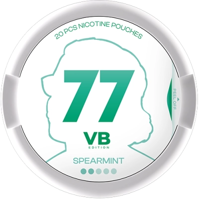 77 VB Spearmint Salty 5,2 mg