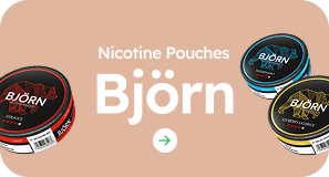 woreczki nikotynowe bjorn